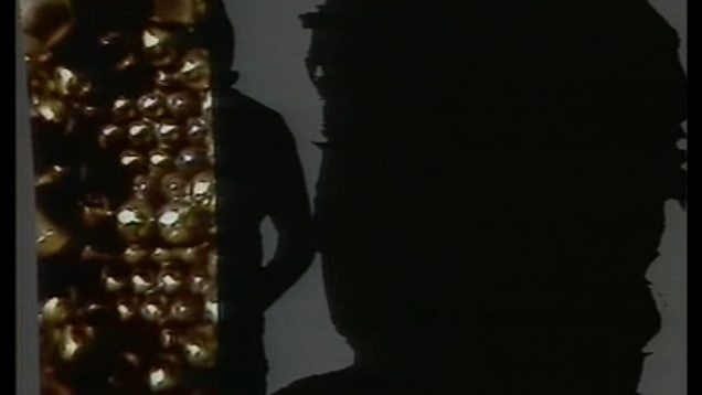 172-serge-gainsbourg-nazi-rock-daily-not-ok-1975-mp4 vignette